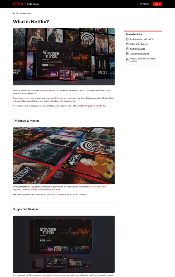 База знаний Netflix, тематика — Развлечения, цвета — Белый, Черный, Серый, стиль — Корпоративный, типографика — Без засечек