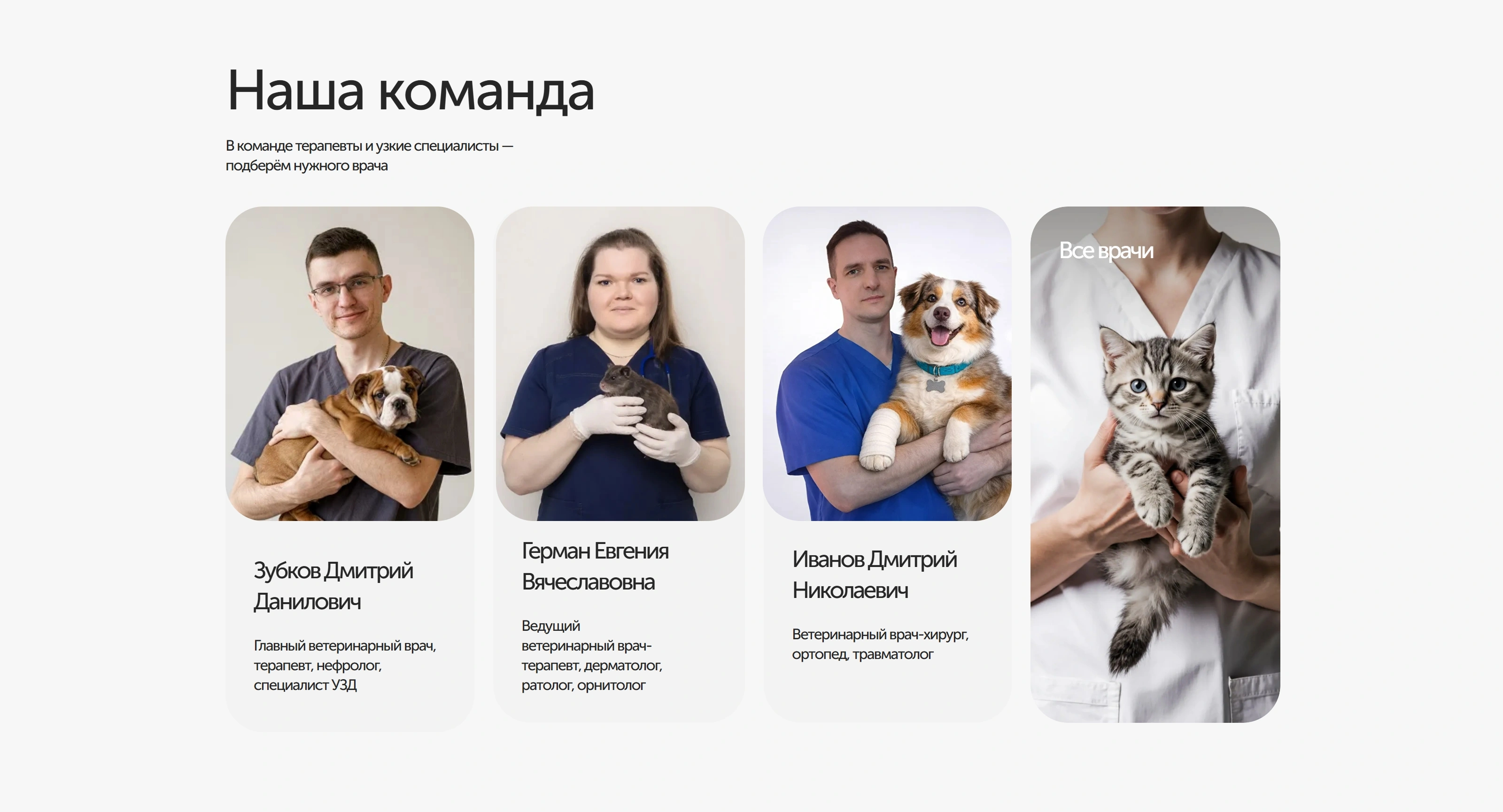Добрый Хвост Секция «Команда» с сайта https://dobriyhvost.ru/, тематика — Домашние животные, цвета — Белый, Серый, стиль — Корпоративный, Карточный, типографика — Без засечек
