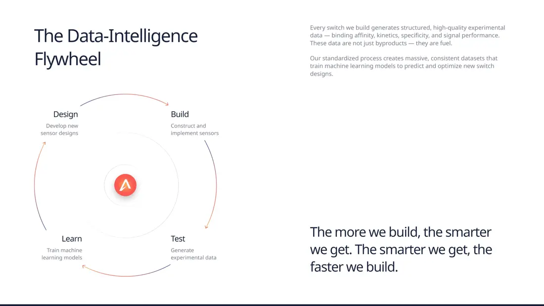 Секция «Этапы» с сайта https://adaptyx.bio/, тематика — IT и программное обеспечение, цвета — Белый, стиль — Корпоративный, Минимализм, типографика — Без засечек