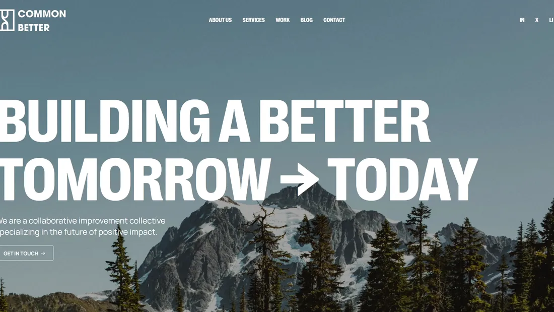 Секция «Первый экран» с сайта https://www.commonbetter.org/, тематика — Некоммерческая деятельность, цвета — Белый, Черный, Серый, стиль — Корпоративный, типографика — Без засечек