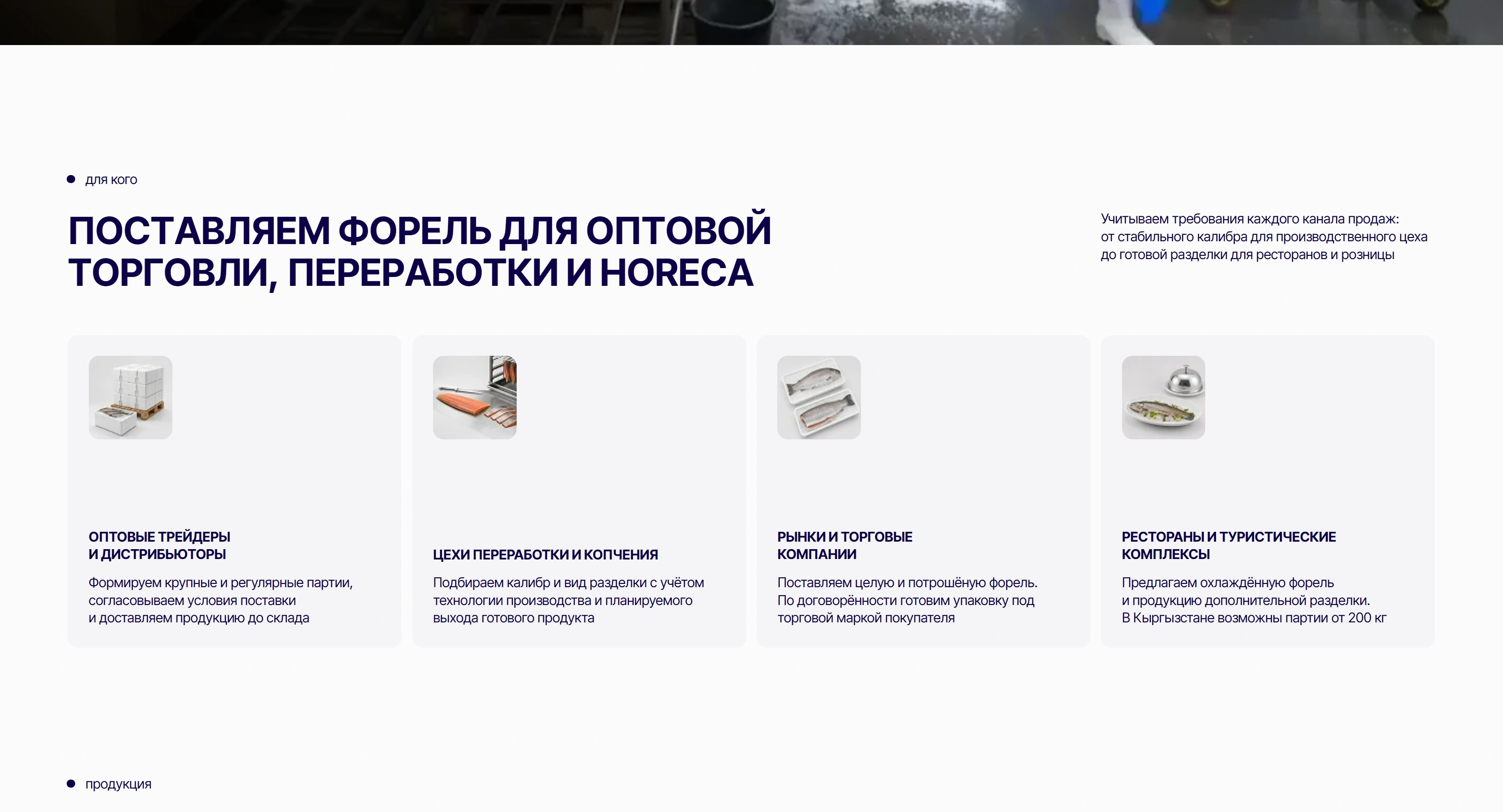 A2 Секция «Для кого» с сайта https://a2.kg/, тематика — Бизнес и профессиональные услуги, цвета — Белый, Серый, стиль — Корпоративный, Карточный, типографика — Без засечек