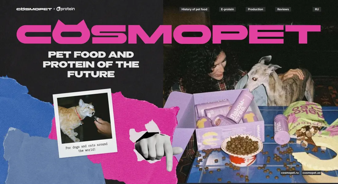 Секция «Первый экран» с сайта https://eprotein.ru/eng, тематика — Домашние животные, цвета — Черный, Серый, Розовый, стиль — Фестивальный, Брутализм, типографика — Без засечек, Декоративные