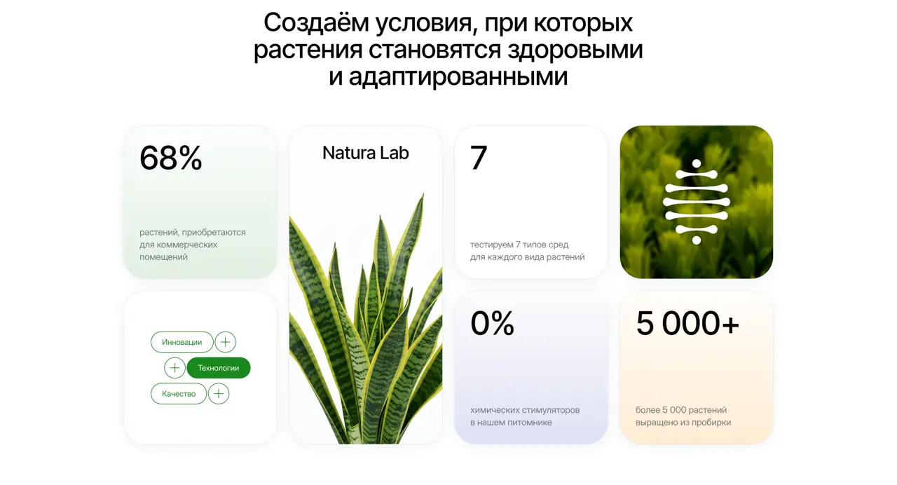 Секция «Преимущества» с сайта https://natura-lab.ru/, тематика — Другое, цвета — Белый, Серый, стиль — Карточный, Минимализм, типографика — Без засечек