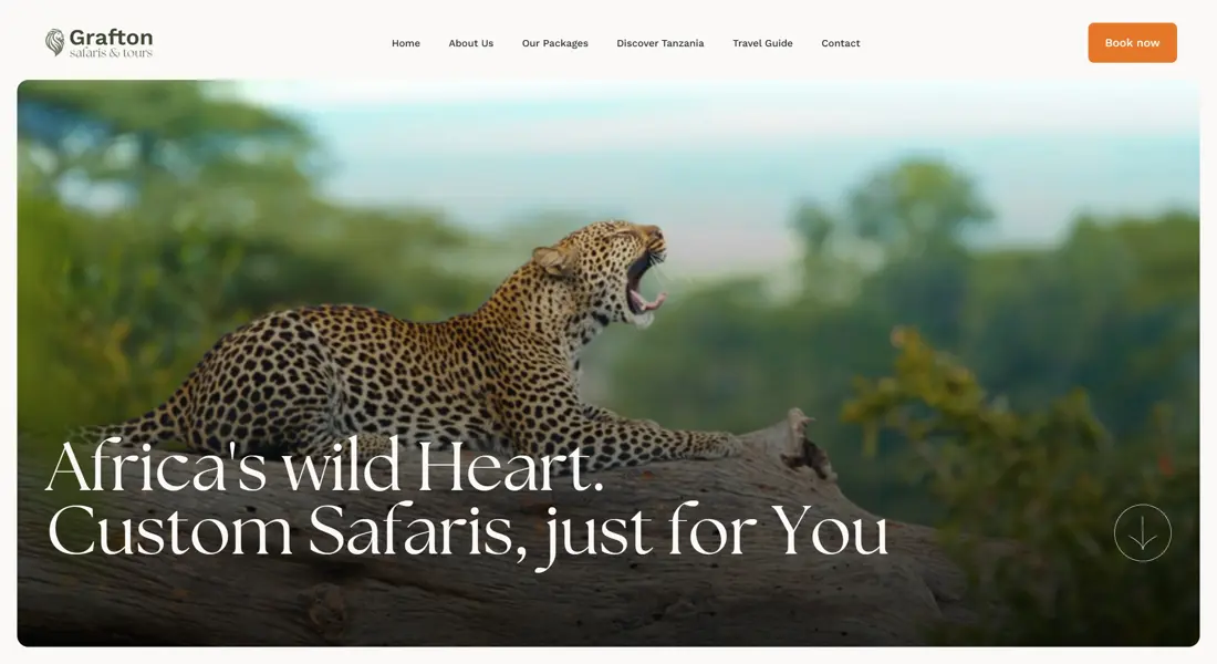 Секция «Первый экран» с сайта https://www.graftonsafaris.com/, тематика — Путешествия и туризм, цвета — Белый, Черный, Серый, стиль — Корпоративный, типографика — С засечками