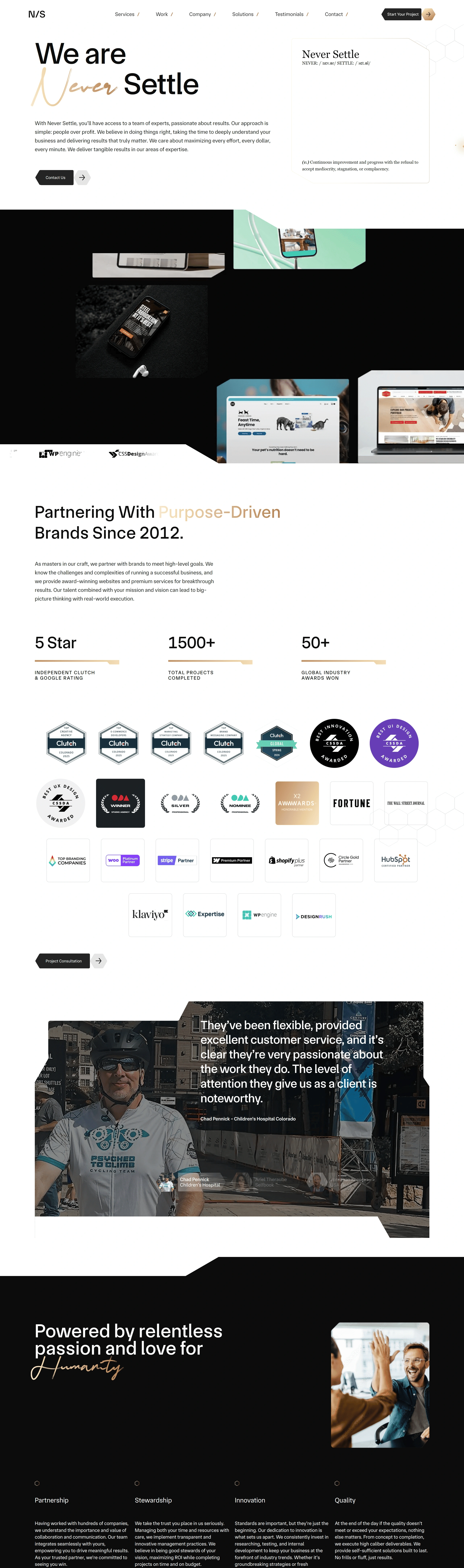 Never Settle Услуги Never Settle, тематика — Агентство , цвета — Белый, Черный, Серый, стиль — Корпоративный, Минимализм, типографика — Без засечек, Рукописные, Декоративные