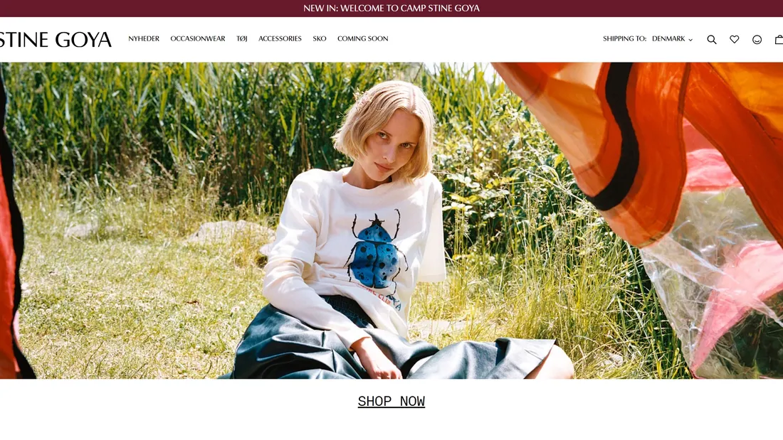 Секция «Первый экран» с сайта https://stinegoya.com/, тематика — Интернет-магазин, Одежда, цвета — Белый, Серый, Коричневый, стиль — Корпоративный, Минимализм, типографика — Без засечек