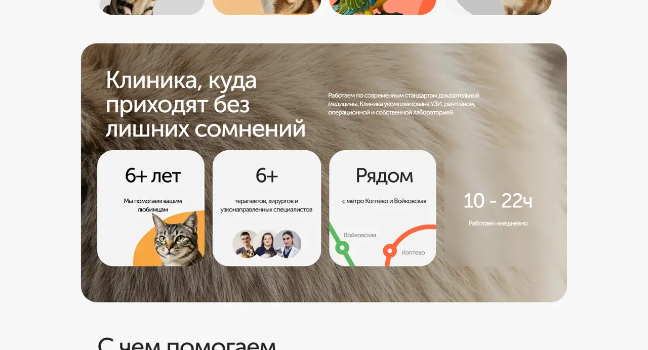 Секция «Преимущества» с сайта https://dobriyhvost.ru/, тематика — Домашние животные, цвета — Белый, Серый, стиль — Корпоративный, Карточный, типографика — Без засечек