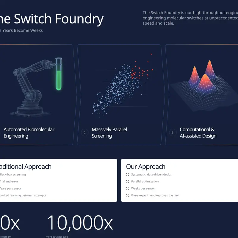 Секция «О компании» с сайта https://adaptyx.bio/, тематика — IT и программное обеспечение, цвета — Белый, Черный, стиль — Корпоративный, Минимализм, типографика — Без засечек