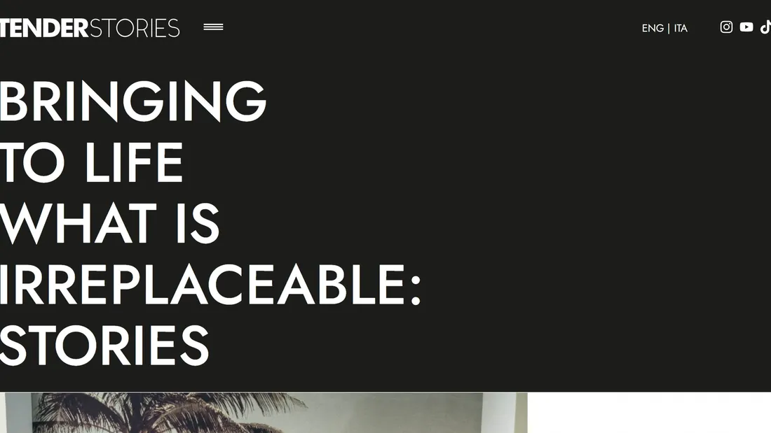 Секция «Первый экран» с сайта https://tenderstories.eu/, тематика — Медиа, цвета — Черный, Серый, стиль — Минимализм, Типографика, типографика — Без засечек