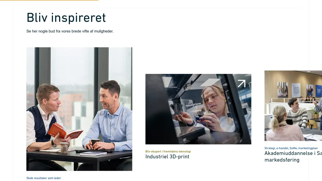 Секция «О компании» с сайта https://iba.dk/, тематика — Образование, цвета — Белый, Черный, Серый, стиль — Корпоративный, типографика — Без засечек