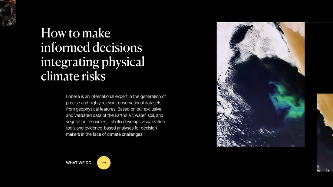 Секция «Контент» с сайта https://www.lobelia.earth/, тематика — Некоммерческая деятельность, цвета — Черный, стиль — Минимализм, Типографика, типографика — С засечками, Без засечек