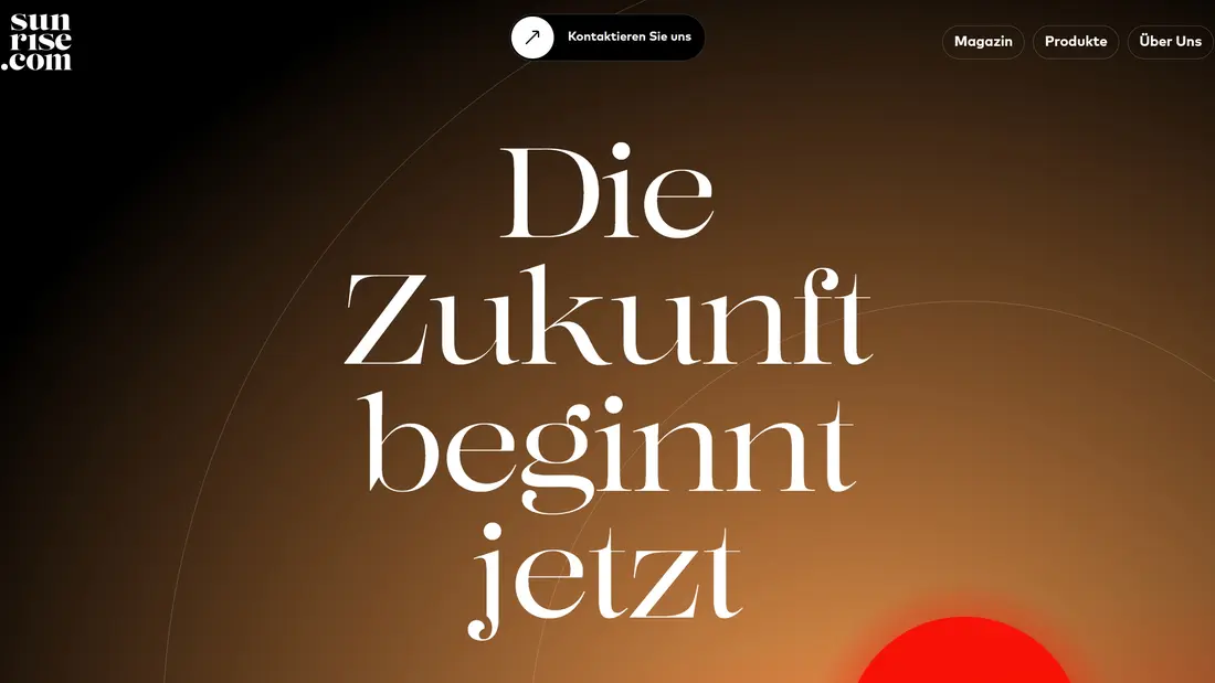 Секция «Первый экран» с сайта https://www.sun-rise.com/, тематика — Продукт, цвета — Черный, Коричневый, стиль — Корпоративный, типографика — Без засечек