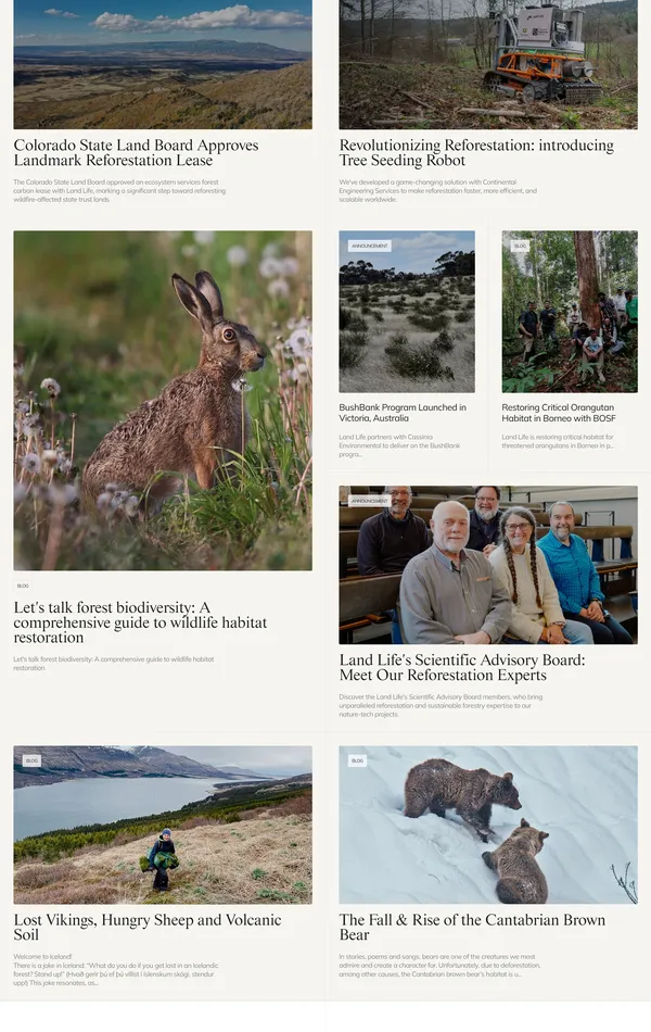 Новости Land Life, тематика — Некоммерческая деятельность, цвета — Белый, Серый, стиль — Корпоративный, типографика — С засечками, Без засечек