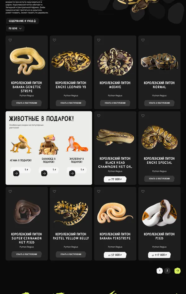 Каталог Panteric, тематика — Домашние животные, цвета — Черный, Желтый, стиль — Брутализм, типографика — Без засечек