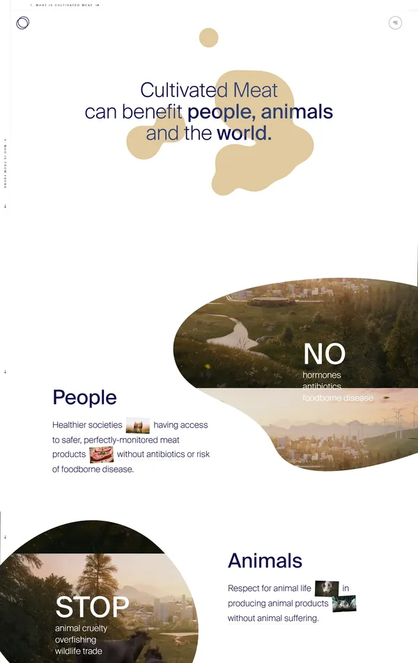 Продукт From Fauna, тематика — Другое, цвета — Белый, стиль — Корпоративный, типографика — Без засечек