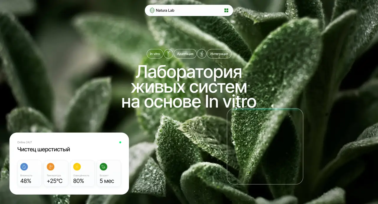 Секция «Первый экран» с сайта https://natura-lab.ru/, тематика — Другое, цвета — Черный, Серый, Зеленый, стиль — Корпоративный, Карточный, Органический и природный, типографика — Без засечек
