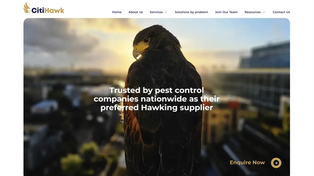 Секция «Первый экран» с сайта https://citihawk.co.uk/, тематика — Бизнес и профессиональные услуги, цвета — Белый, Черный, Серый, стиль — Корпоративный, типографика — Без засечек