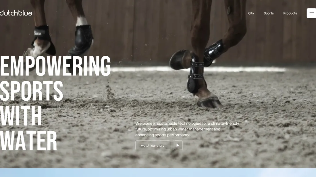 Секция «Первый экран» с сайта https://www.dutchblue.world/, тематика — Бизнес и профессиональные услуги, цвета — Белый, Черный, Серый, стиль — Корпоративный, Фестивальный, типографика — Без засечек