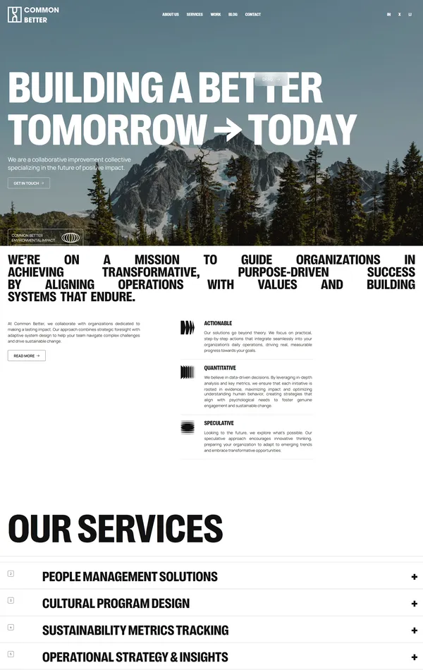 Главная Common Better, тематика — Некоммерческая деятельность, цвета — Белый, Черный, Серый, Синий, стиль — Корпоративный, типографика — Без засечек
