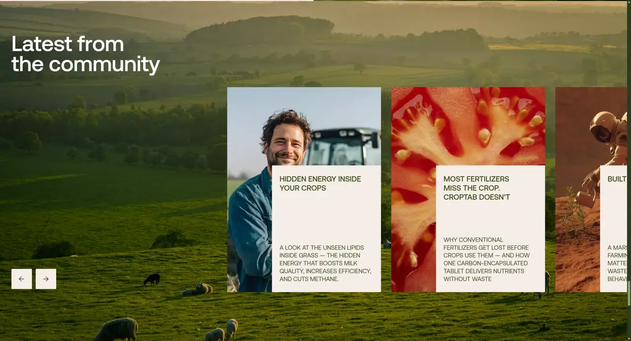 Секция «Контент» с сайта https://www.farmminerals.com/, тематика — Сельское хозяйство, цвета — Черный, Серый, Коричневый, стиль — Карточный, Органический и природный, типографика — Без засечек