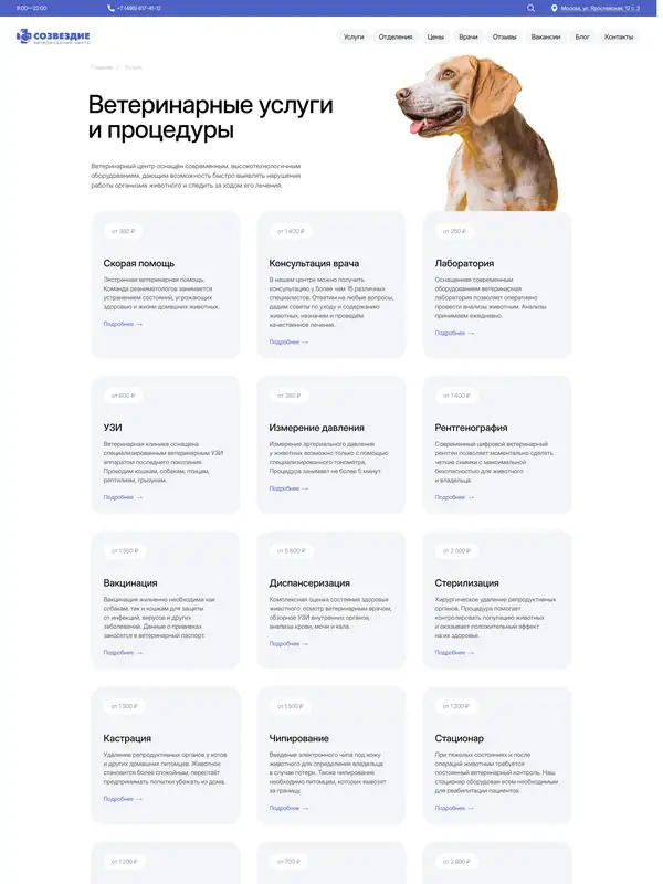 Услуги Созвездие, тематика — Домашние животные, цвета — Белый, Серый, Синий, стиль — Корпоративный, Карточный, Минимализм, типографика — Без засечек