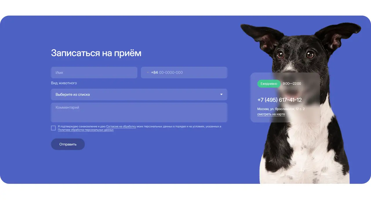 Секция «Форма» с сайта https://vetgalaxy.vet/, тематика — Домашние животные, цвета — Серый, Синий, стиль — Карточный, Минимализм, типографика — Без засечек