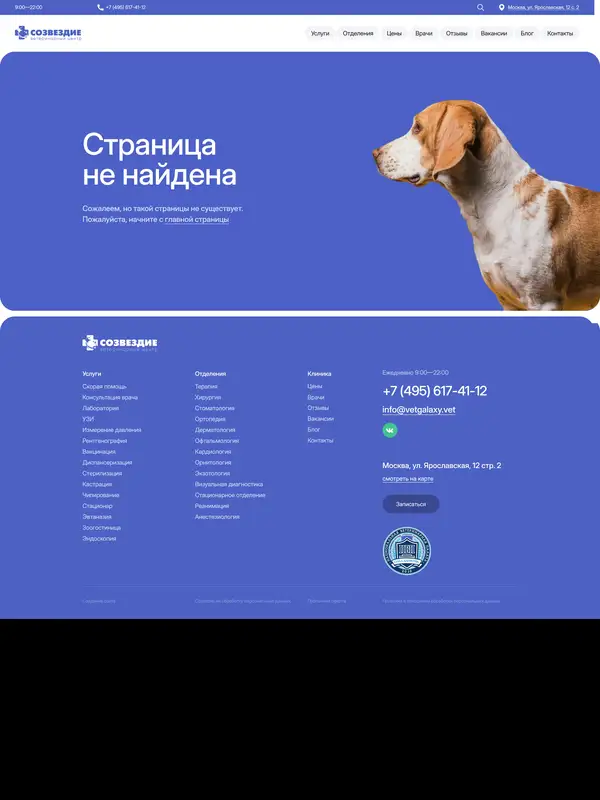 404-страница Созвездие, тематика — Домашние животные, цвета — Серый, Синий, стиль — Корпоративный, Минимализм, типографика — Без засечек