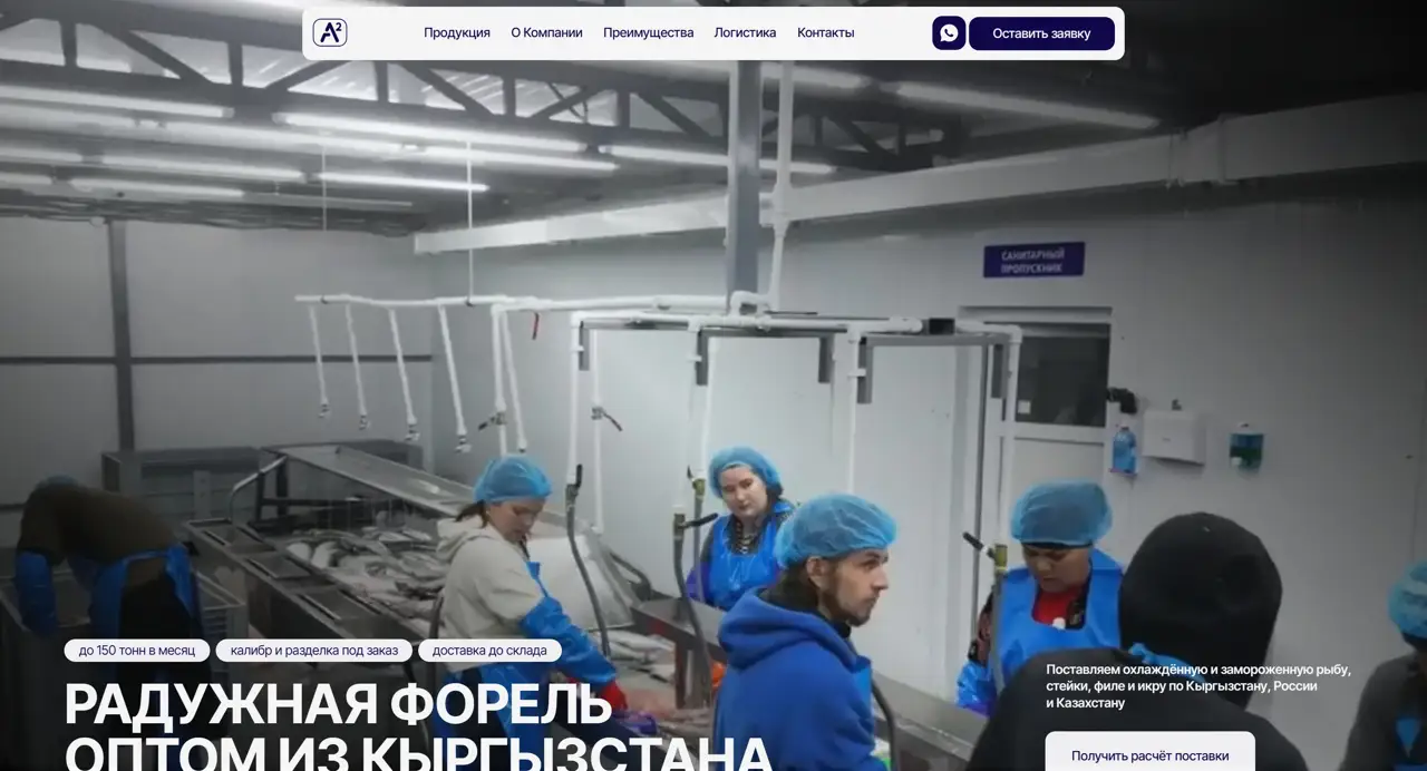 Секция «Первый экран» с сайта https://a2.kg/, тематика — Бизнес и профессиональные услуги, цвета — Черный, Серый, стиль — Корпоративный, типографика — Без засечек