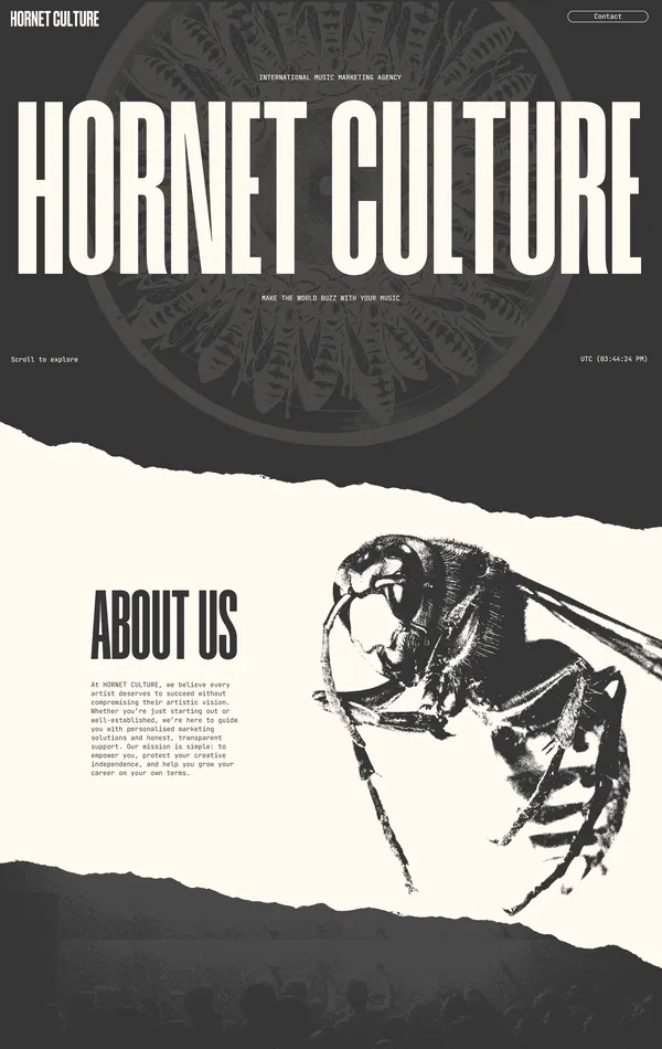 Лендинг Hornet Culture, тематика — Музыка, цвета — Белый, Черный, Серый, стиль — Минимализм, Типографика, типографика — Без засечек, Декоративные