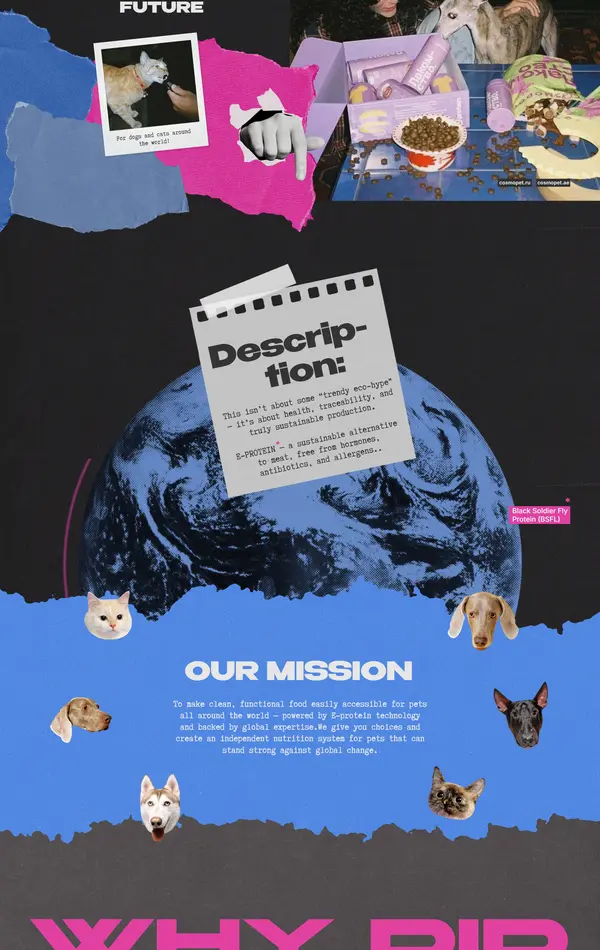 Лендинг Cosmopet, тематика — Домашние животные, цвета — Черный, Серый, Синий, стиль — Брутализм, типографика — Без засечек, Декоративные