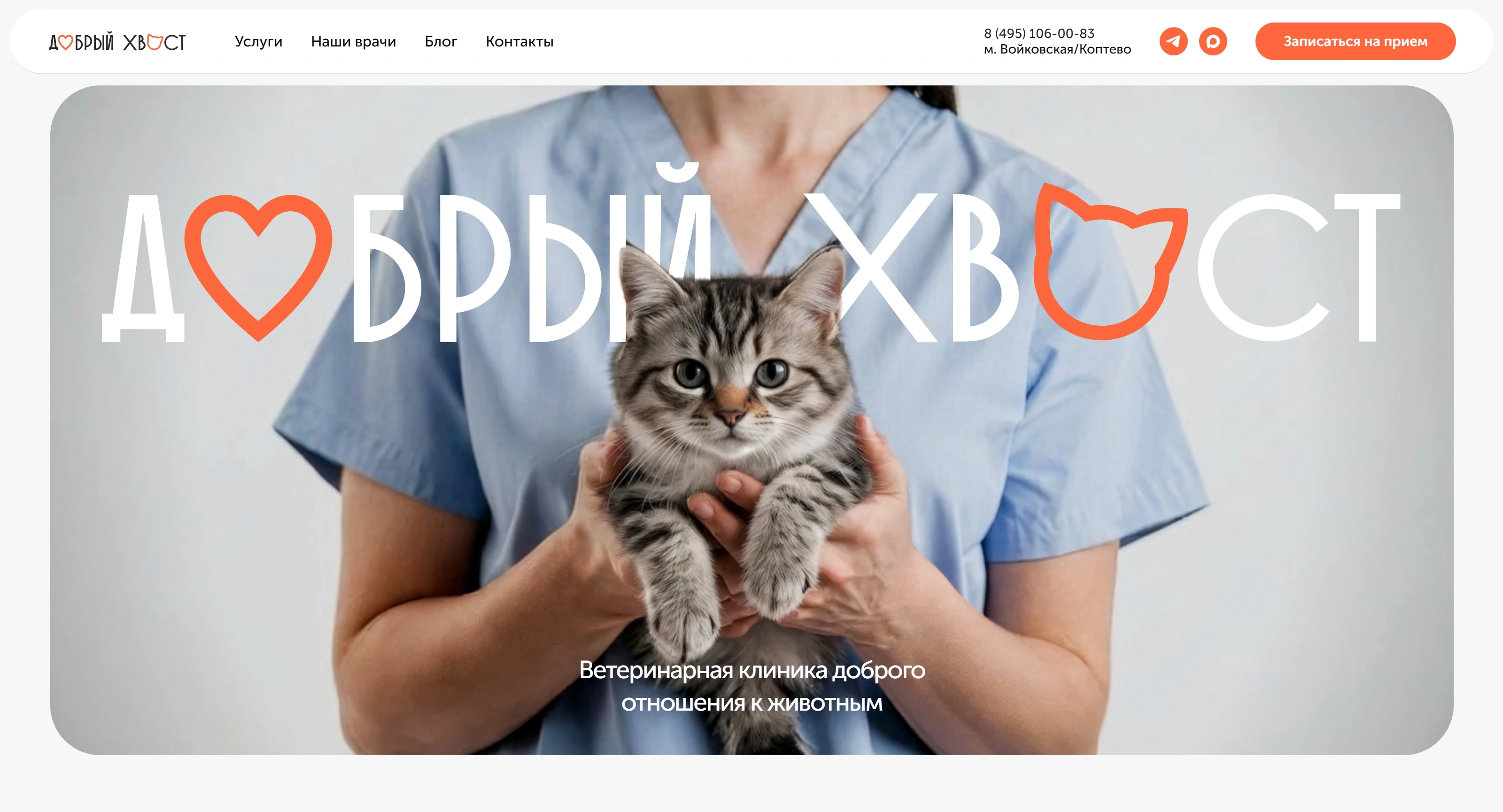 Добрый Хвост Секция «Первый экран» с сайта https://dobriyhvost.ru/, тематика — Домашние животные, цвета — Белый, Серый, стиль — Корпоративный, Минимализм, типографика — Без засечек, Декоративные