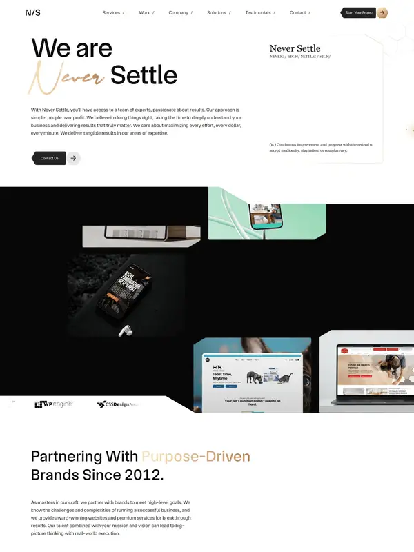 Услуги Never Settle, тематика — Агентство , цвета — Белый, Черный, Серый, стиль — Корпоративный, Минимализм, типографика — Без засечек, Рукописные, Декоративные