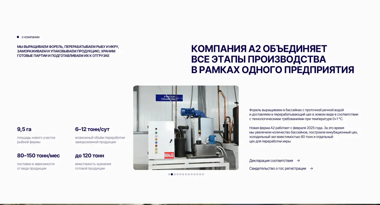 Секция «О компании» с сайта https://a2.kg/, тематика — Бизнес и профессиональные услуги, цвета — Белый, Серый, стиль — Корпоративный, Минимализм, типографика — Без засечек