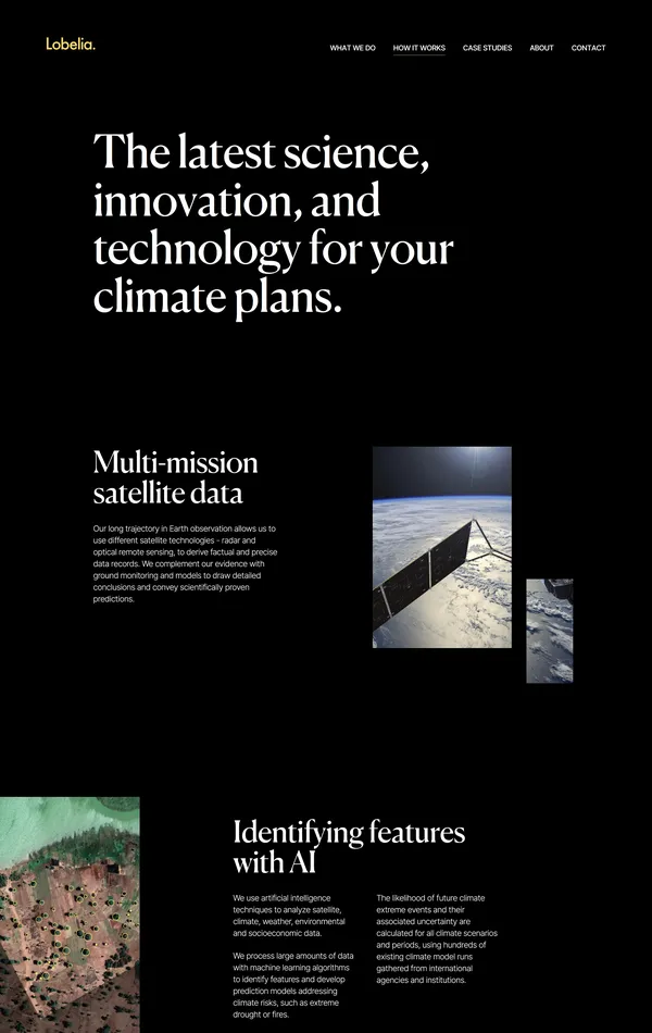 Продукт Lobelia, тематика — Некоммерческая деятельность, цвета — Черный, стиль — Корпоративный, типографика — С засечками, Без засечек