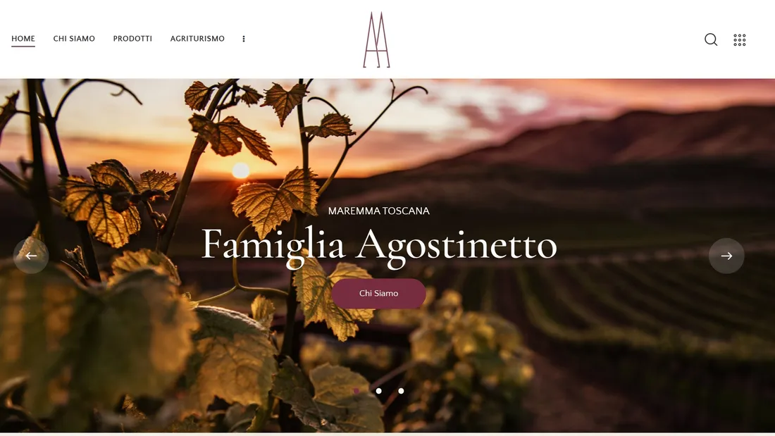 Секция «Первый экран» с сайта https://www.agostinetto-wine.com/, тематика — Еда и напитки, цвета — Белый, Черный, Коричневый, стиль — Классический, типографика — С засечками