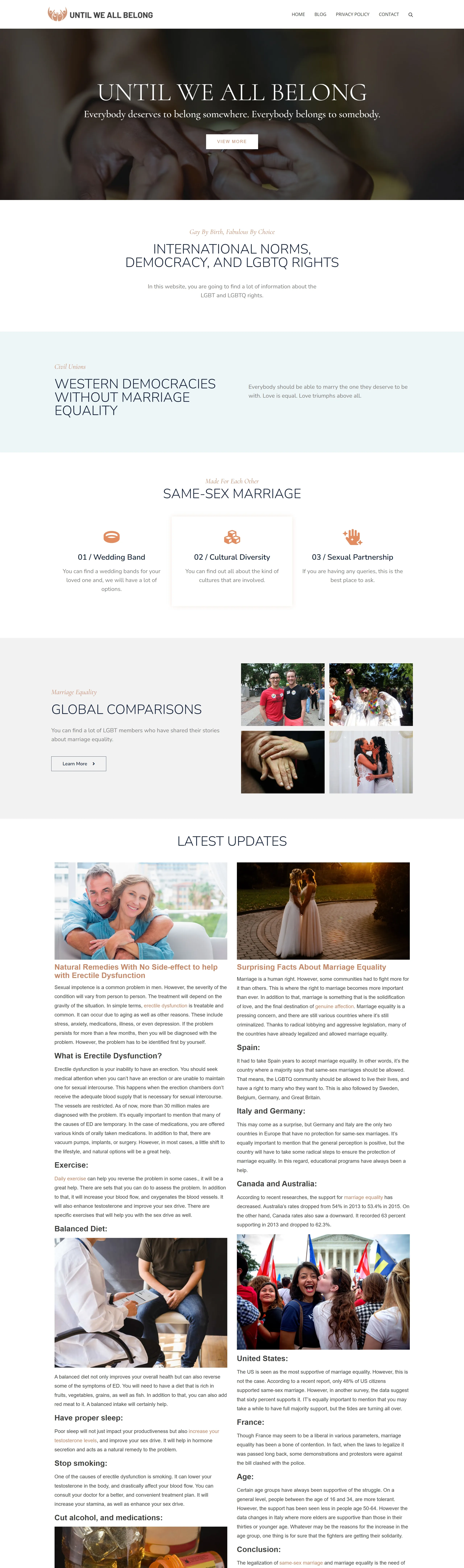 Until We All Belong Главная Until We All Belong, тематика — Некоммерческая деятельность, цвета — Белый, Черный, стиль — Корпоративный, типографика — Без засечек