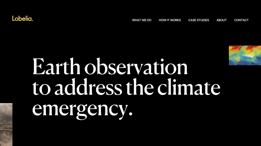 Секция «Первый экран» с сайта https://www.lobelia.earth/, тематика — Некоммерческая деятельность, цвета — Черный, Серый, стиль — Минимализм, Типографика, типографика — С засечками, Без засечек