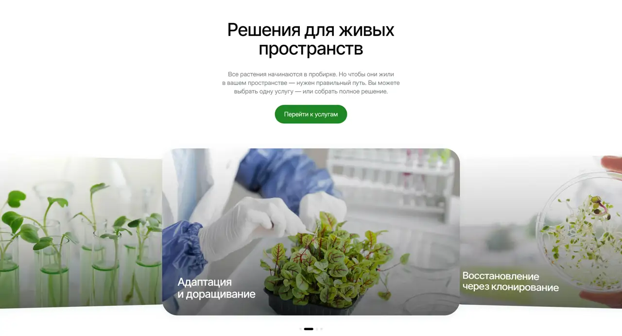 Секция «Первый экран» с сайта https://natura-lab.ru/, тематика — Другое, цвета — Белый, Серый, стиль — Корпоративный, Карточный, Органический и природный, типографика — Без засечек