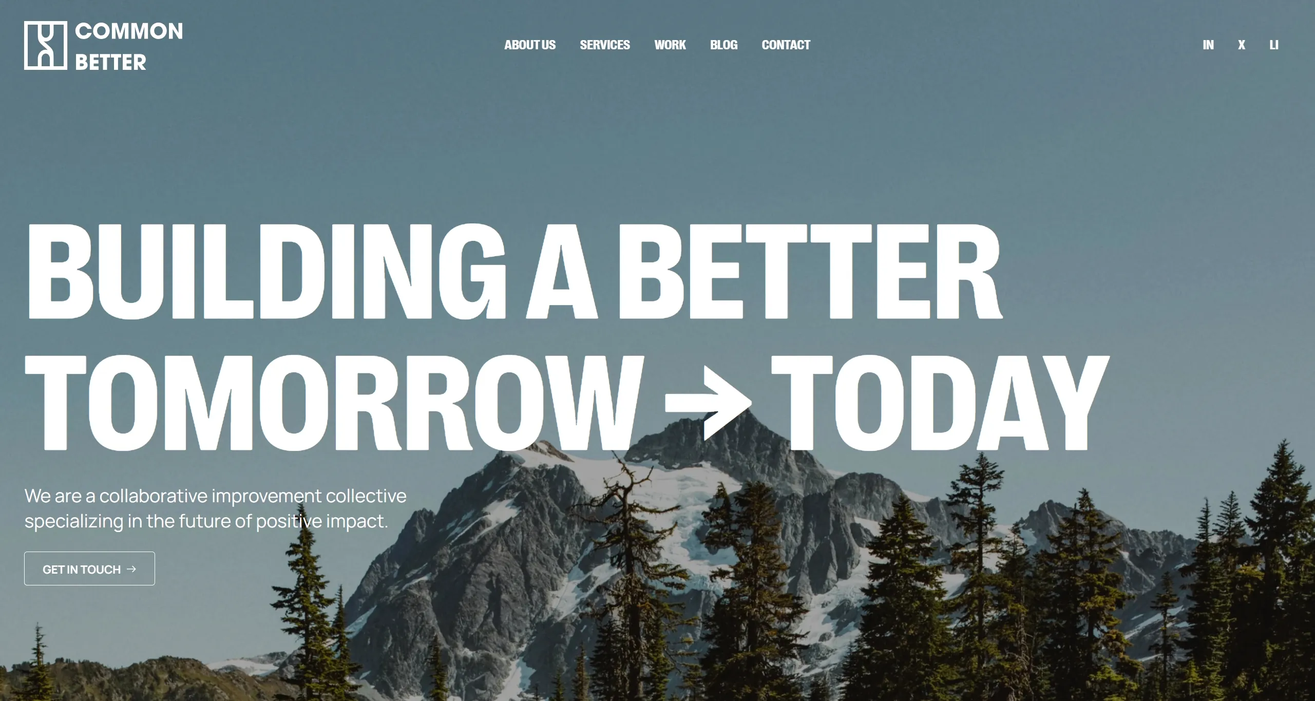 Common Better Секция «Первый экран» с сайта https://www.commonbetter.org/, тематика — Некоммерческая деятельность, цвета — Белый, Черный, Серый, стиль — Корпоративный, типографика — Без засечек