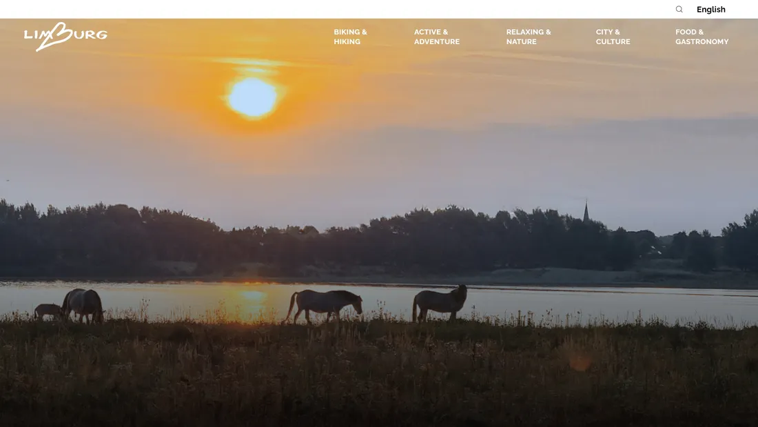 Секция «Первый экран» с сайта https://www.inlimburg.com/en, тематика — Путешествия и туризм, цвета — Черный, Серый, стиль — Корпоративный, Органический и природный, типографика — Без засечек