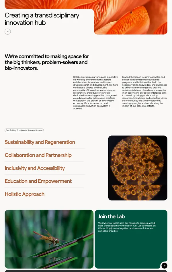 Страница о компании Colabs, тематика — Бизнес и профессиональные услуги, цвета — Белый, Черный, стиль — Корпоративный, типографика — Без засечек