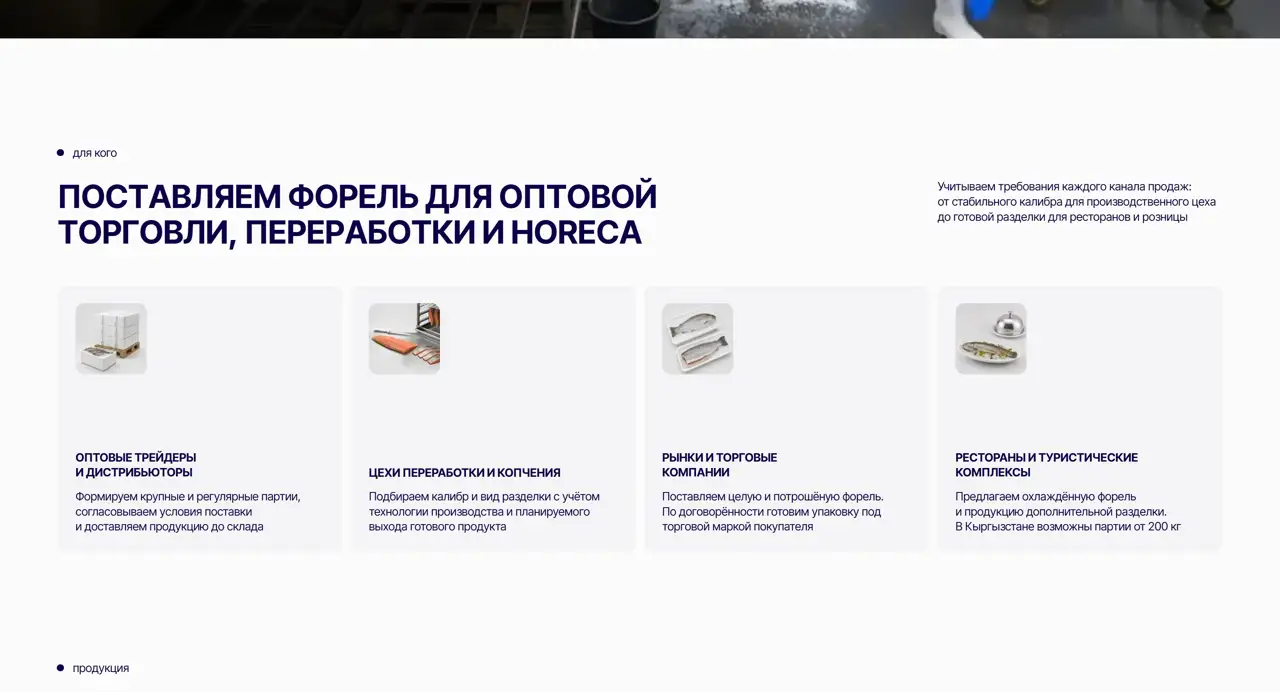 Секция «Для кого» с сайта https://a2.kg/, тематика — Бизнес и профессиональные услуги, цвета — Белый, Серый, стиль — Корпоративный, Карточный, типографика — Без засечек