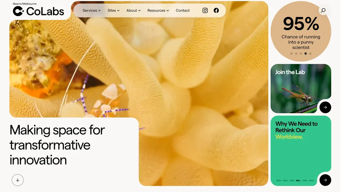 Секция «Первый экран» с сайта https://colabs.com.au/, тематика — Образование, цвета — Белый, Желтый, Оранжевый, стиль — Корпоративный, типографика — Без засечек