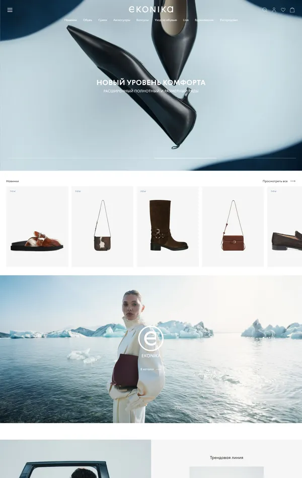 Главная EKONIKA, тематика — Интернет-магазин, цвета — Белый, Серый, стиль — Классический, Минимализм, типографика — Без засечек
