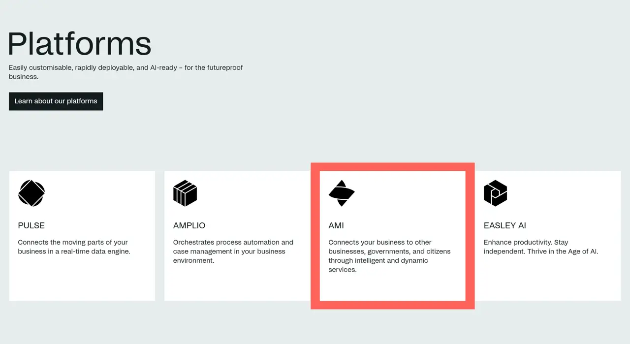 Секция «Услуги» с сайта https://netcompany.com/, тематика — IT и программное обеспечение, цвета — Белый, стиль — Корпоративный, Карточный, Минимализм, типографика — Без засечек